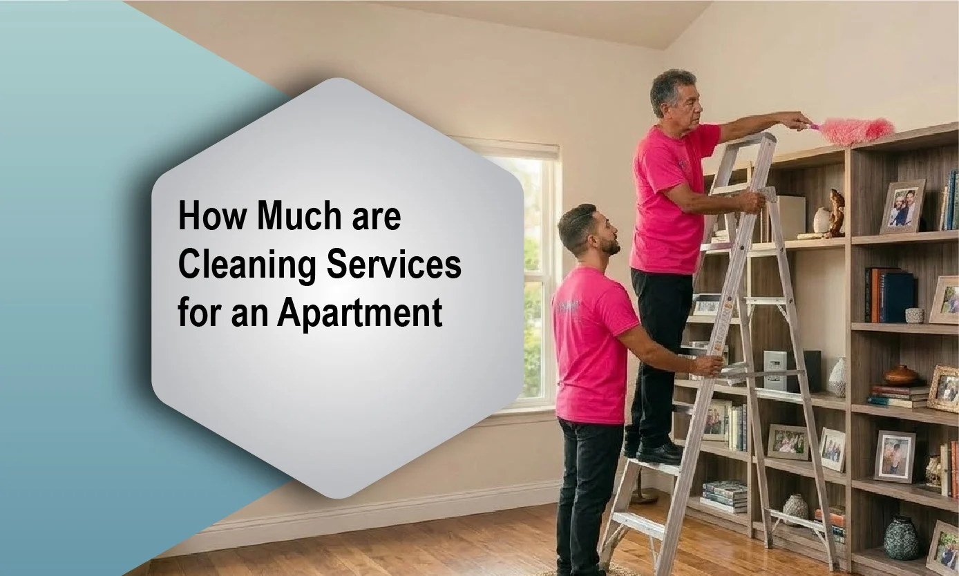 How Much are Cleaning Services For an Apartment?